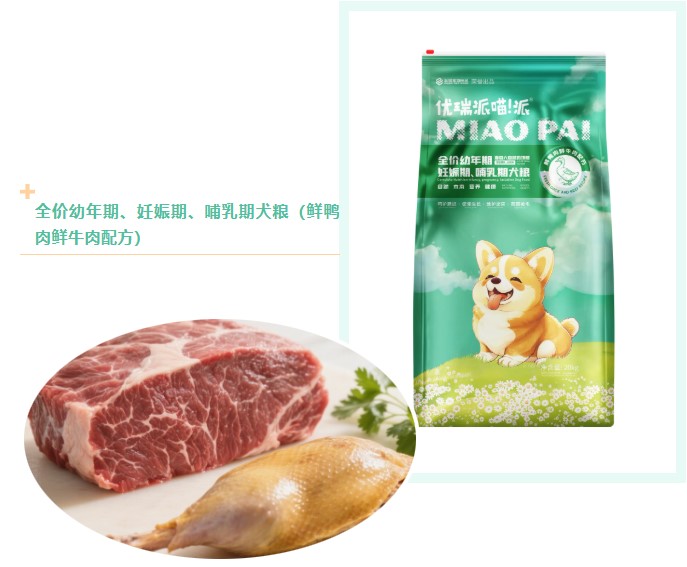 派得寵物