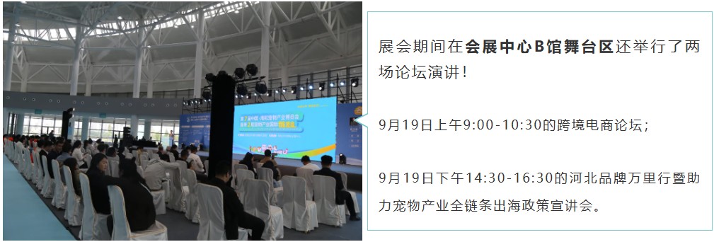 派得寵物