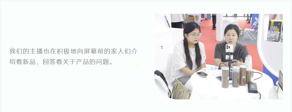 派得寵物