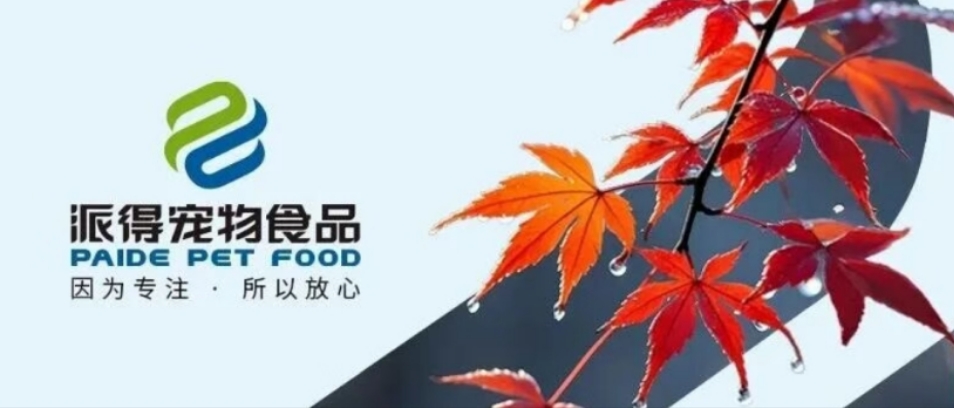 派得寵物