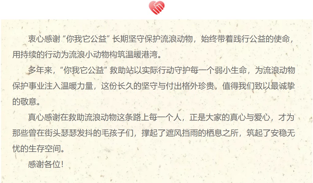 派得寵物