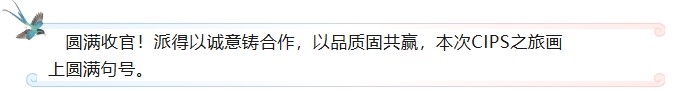 派得寵物