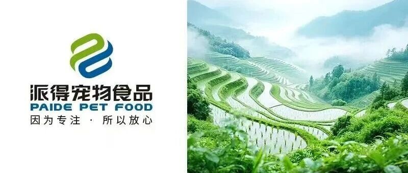 雨潤萬物百谷生  生活向暖夏漸行