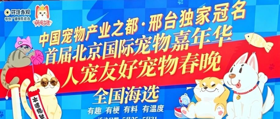 以愛為翼丨派得寵物食品助力萌寵閃耀出道！